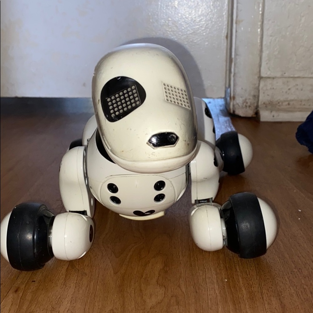 Zoomer dog